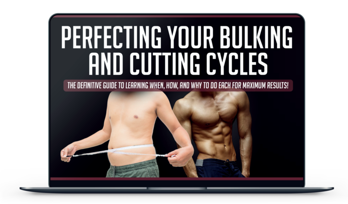 bulking and cutting guide
